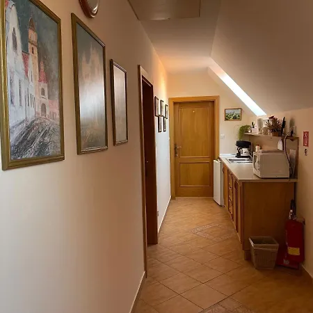 招待所 Olga Hajasova 3*