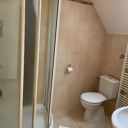 Olga Hajasova 3* 波切尼斯