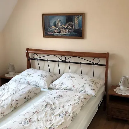 Olga Hajasova 波切尼斯