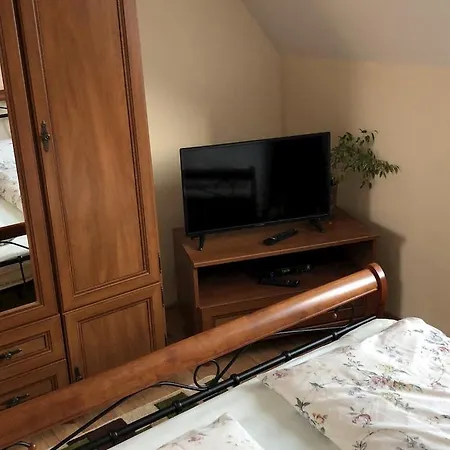 Olga Hajasova 波切尼斯