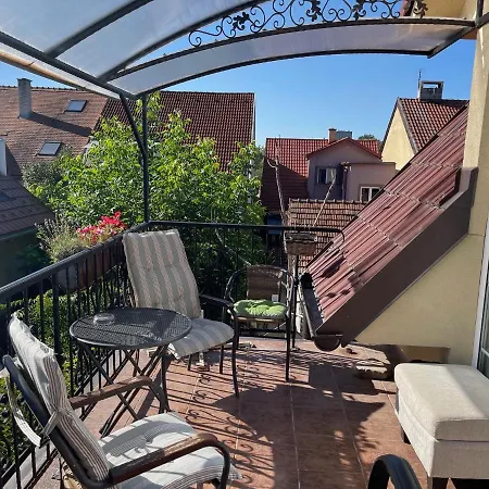 招待所 Olga Hajasova 3*