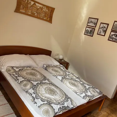 Olga Hajasova 招待所 波切尼斯