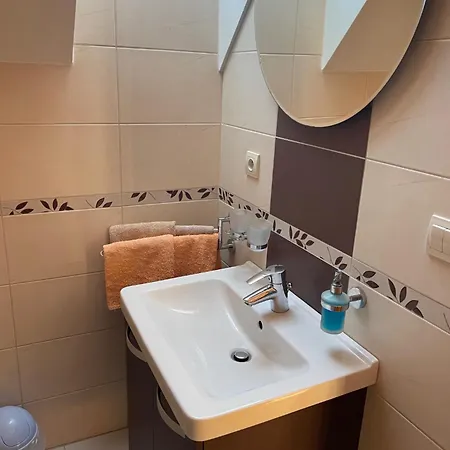 招待所 Olga Hajasova 3*