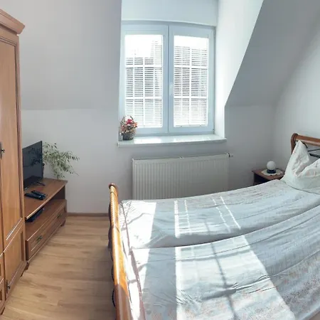 Olga Hajasova 波切尼斯