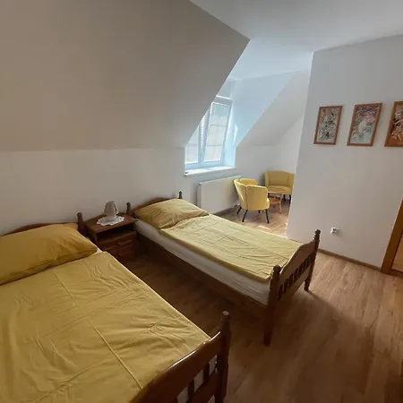 招待所 Olga Hajasova 3*